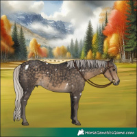 Horse Color:White Spotted Silver Smoky Black 
