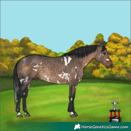 Horse Color:White Spotted Brown Dun Mushroom Rabicano