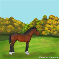 Horse Color:Brown 