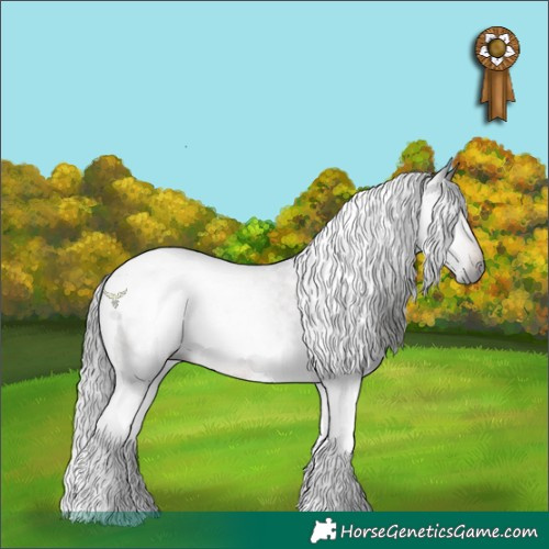 Horse Color:Gray Brown Tobiano Rabicano 