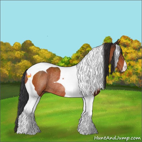 Horse Color:Brown Tobiano Rabicano 