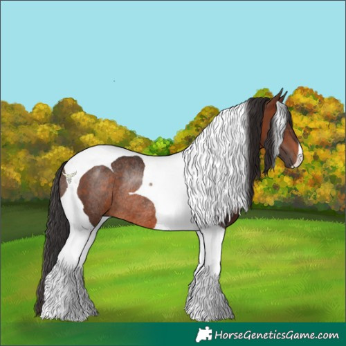 Horse Color:Brown Tobiano Rabicano 
