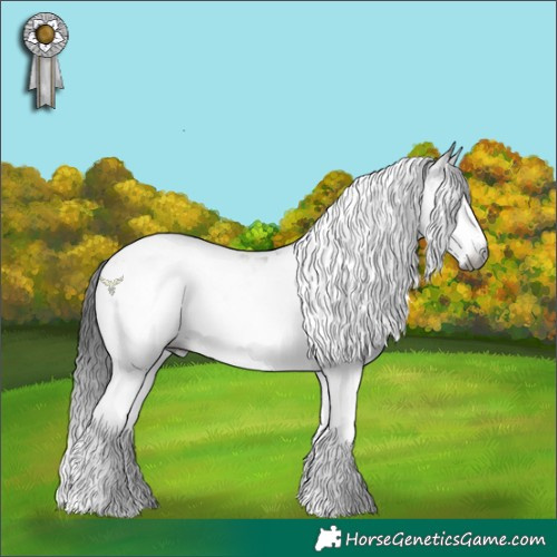 Horse Color:Gray Brown Splash Tobiano Rabicano 