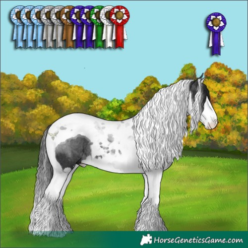 Horse Color:Black Splash Tobiano Rabicano 