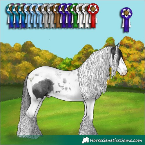 Horse Color:Black Splash Tobiano Rabicano 