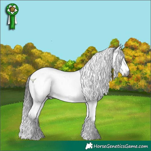 Horse Color:Gray Black Splash Tobiano Rabicano 