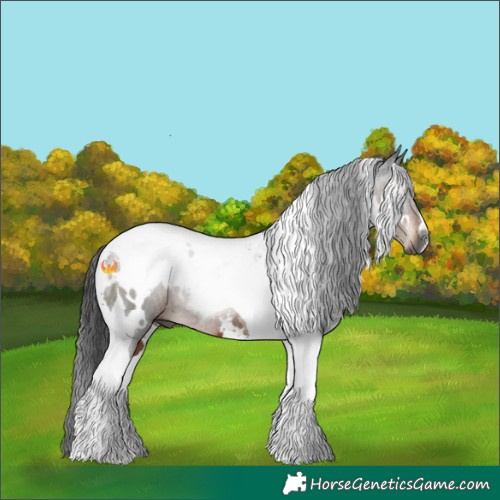 Horse Color:Gray White Spotted Brown Tobiano Rabicano 