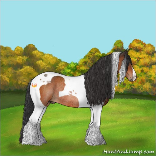Horse Color:Brown Tobiano Rabicano 