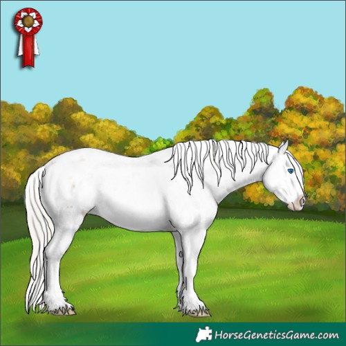 Horse Color:Silver Brown Sabino Splash 
