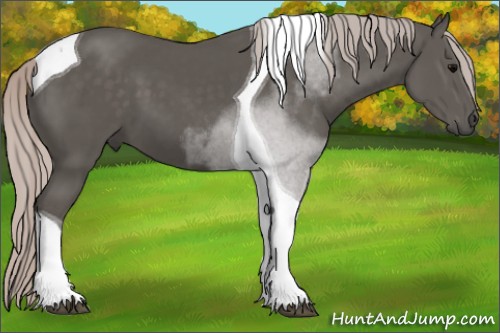 Horse Color:Silver Black Tobiano 