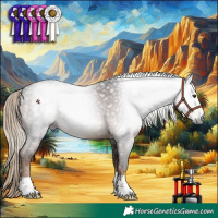 Horse Color:Gray Liver Chestnut