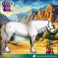 Horse Color:Gray Liver Chestnut 