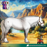 Horse Color:Gray Liver Chestnut 