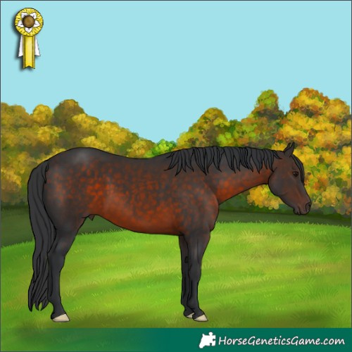 Horse Color:Brown 