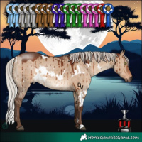 Horse Color:White Spotted Silver Bay Dun Brindle 
