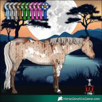 Horse Color:White Spotted Silver Bay Dun Brindle
