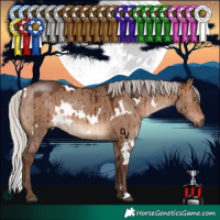 Horse Color:White Spotted Silver Bay Dun Brindle