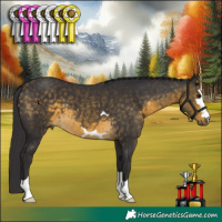 Horse Color:Buckskin 