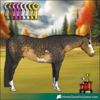 Horse Color:Buckskin