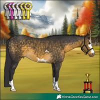 Horse Color:Buckskin