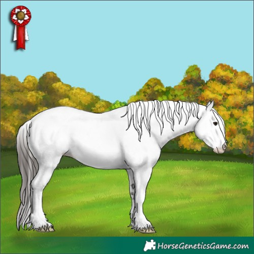 Horse Color:White Spotted Buckskin 