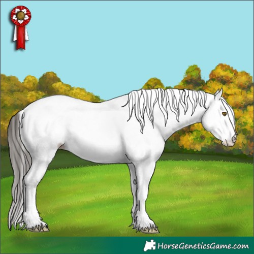Horse Color:White Spotted Classic Cream Champagne Splash Tobiano 
