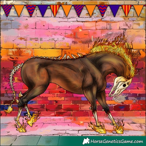 Horse Color:Bay 