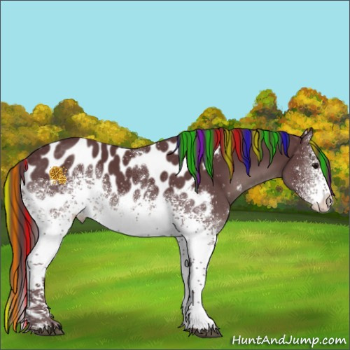 Horse Color:Painted White Spotted Chocolate Black Appaloosa 