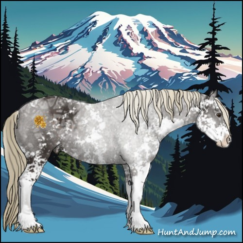 Horse Color:Liver Chestnut Ice Sabino 