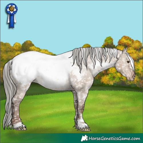 Horse Color:White Spotted Liver Red Dun Mushroom Appaloosa 