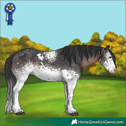Horse Color:White Spotted Brown Mushroom Appaloosa Rabicano 