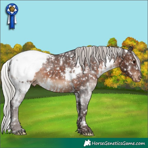 Horse Color:White Spotted Silver Brown Appaloosa 