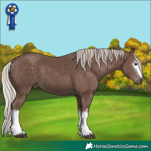 Horse Color:White Spotted Silver Black Sabino 