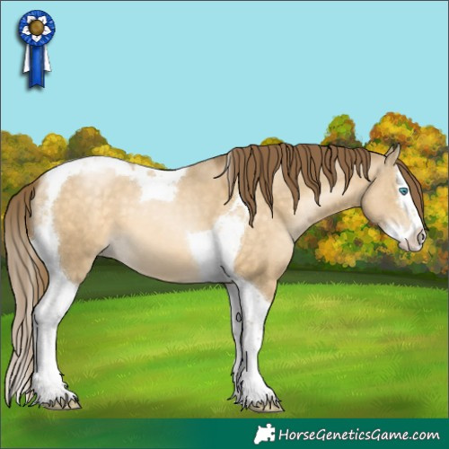Horse Color:Buckskin Pearl Dun Splash Tobiano 