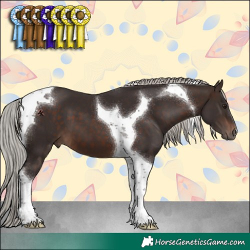 Horse Color:Silver Brown Tobiano 