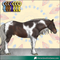Horse Color:Silver Brown Tobiano 