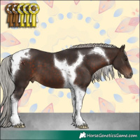Horse Color:Silver Brown Tobiano 