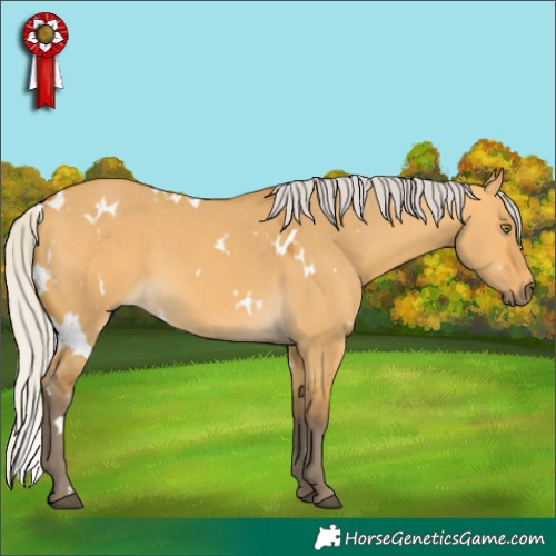 Horse Color:White Spotted Silver Buckskin Dun 
