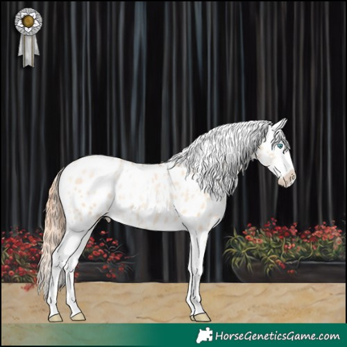 Horse Color:Classic Champagne Pearl Dun Sabino Splash Appaloosa Rabicano 