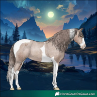 Horse Color:Classic Champagne Splash Tobiano Appaloosa Rabicano 