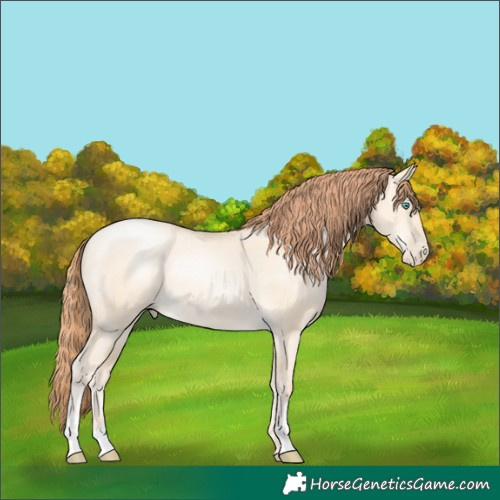 Horse Color:Classic Cream Champagne Pearl Dun Rabicano 