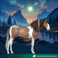 Horse Color:Classic Champagne Splash Tobiano Rabicano 