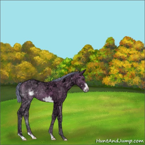 Horse Color:Watercolor Bay Ice Frame