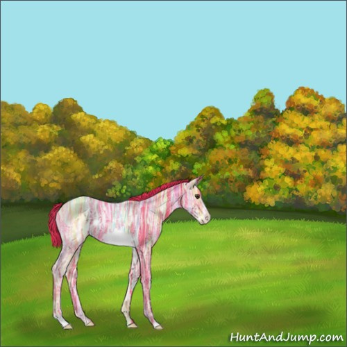 Horse Color:Watercolor Liver Chestnut Ice Frame 