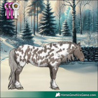 Horse Color:White Spotted Silver Black Tobiano Near Leopard 