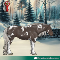 Horse Color:White Spotted Silver Black Tobiano 