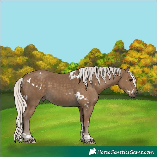 Horse Color:White Spotted Silver Smoky Black Tobiano 