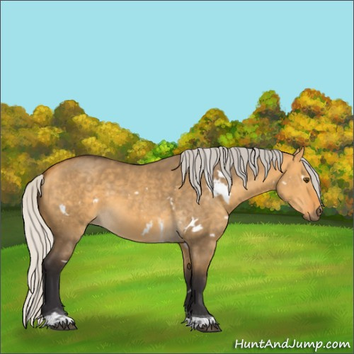 Horse Color:White Spotted Silver Buckskin Dun Tobiano 