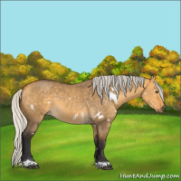 Horse Color:White Spotted Silver Buckskin Dun Tobiano 