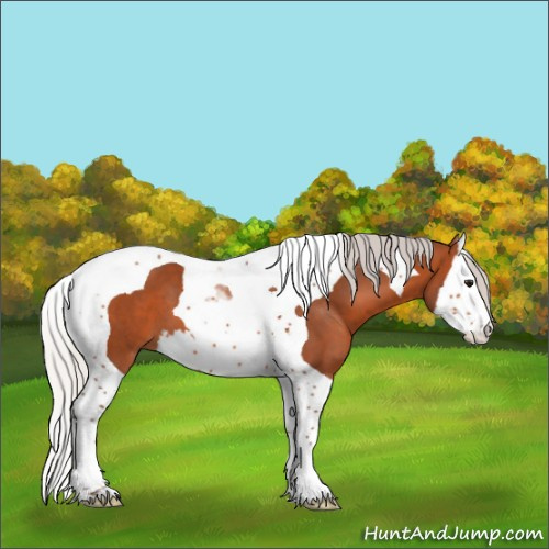 Horse Color:Silver Bay Splash Tobiano 